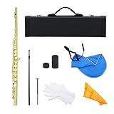Flöte Musikinstrument 16 geschlossene offene Löcher C Kreuz Querflöte Cupronickel Konzertflöte...