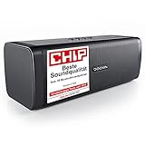 DOCKIN® D FINE EVO Bluetooth Lautsprecher Outdoor/Indoor 50W [TESTSIEGER] - Bluetooth Box groß mit...