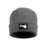 VAPORVERSE Auto Windschutzscheiben Abdeckung für MG HS Plug-in PHEV EHS 2019 2020 2021 2022,...