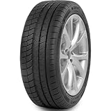 DAVANTI Wintoura+ Reifen 205/55 R17 95 V XL Winterreifen PKW ROAD