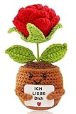 BOAITE Ich Liebe Dich Geschenke für Frauen Männer, Geschenk für Paar- Pocket Hug Rose, Partner...