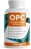 OPC Traubenkernextrakt - 240 OPC Kapseln mit 75% reinem O.P.C. je Kapsel - laborgeprüft...