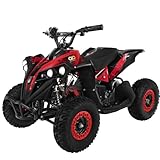 Actionbikes Motors Kinder Quad Elektro ATV Reneblade | 𝟒𝟖 Volt 𝟭𝟬𝟬𝟬 Watt Motor bis...