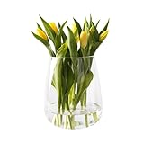 Giessle® [ Große ] Glasvase, Vase für z.B. Trockenblumen & Tulpen, Tischvase, Tulpenvase,...
