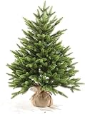 eveXmas 85cm Künstlicher Weihnachtsbaum, Tannenbaum Onyx Klassik Grün, 139 Zweige 100% PE-Spitzen,...
