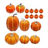 Künstliche Kürbisse Set, Kürbisse zum Dekorieren - 16 Stück Halloween Simulation Kürbisse,...