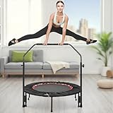 LIFERUN Fitness Trampolin Indoor Ø101cm,Tragfähigkeit 150 kg,Workout Rebounder,mit 3 Verstellbare...