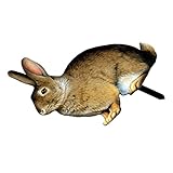 Abaodam Kaninchen Gartenstecker Dekorative Acryl Hasenfigur für Garten und Ostern Garten Deko für...