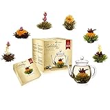 Creano Teeblumen Mix - goldenes Geschenkset Erblühtee mit Glas Teekanne weißer, grüner &...