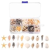 1 Box/ca. 220 StückMuscheln zum Basteln, Natürliche Muscheln Deko Muscheln mit Seestern,...