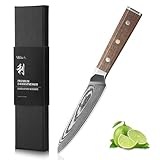 Wakoli Damastmesser Allzweckmesser – Gemüsemesser mit 13 cm Klinge aus 67 Lagen Damaststahl und...