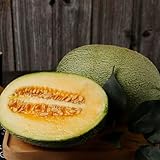 120 Pcs Honigmelone Samen - Cantaloupe Melone - Winterharte Pflanzen Für Kübel, Säulenobst...