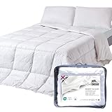 Homescapes Seidendecke 135x200 cm, warme Winter-Bettdecke Maulbeerseide mit 550 GSM Füllung aus...