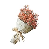 Natürliche Trockenblumen Home Decor Natürliche Trockenblumen voller Sterne Gypsophila Kunstblume...