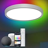 Modlicht LED Deckenleuchte Kompatibel mit Alexa App Steuerung 28W Ø30cm Smart RGBIC LED Deckenlampe...