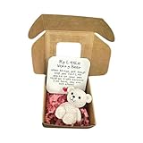 Mini-Plüsch-Teddybär in Box, My Little Worry Bears, Mini-Taschenbären, Umarmung aus Plüsch mit...