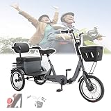 NOOGRRFA Faltbares Dreirad-E-Bike Für Ältere Menschen,8-Lager-Antrieb,Bremsempfindlichkeit,200Kg...