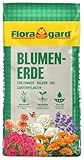 Floragard Blumenerde 40 L – hochwertige Universalerde mit Ton & Langzeitdünger – lockere,...