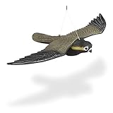 Relaxdays Vogelschreck Falke, fliegender Greifvogel als Vogelscheuche, Raubvogel Attrappe, Vogel...