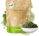 Grüner Sencha Tee BIO 250 g I lose und geschnitten I aromatischer bio Sencha Grüntee I 100%...