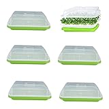 Rigute 6 Stück Seed Sprouter Tray, Keimschalen für Sprossen mit Deckel, Treibhaus Anzuchtschale,...