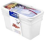 Rotho Domino 3er-Set Gefrierdosen 1.5l mit beschreibbarem Motiv auf dem Deckel, Kunststoff (PP)...
