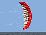 Kwasyo 2.5m Dual Line Stunt Sport Drachen mit Handgriff 30m String, Kitesurfen am Strand, Outdoor...