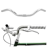 City Bike Lenker Ergonomischer Fahrradlenker für Damenrad & Herrenrad aus silbernem Aluminium Retro...