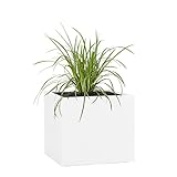 Pflanzwerk® Pflanzkübel Fiberglas Weiss Cube 30x34x34cm *Frostbeständige Blumenkübel* *Deutsche...