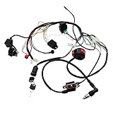 Full Electrics Kabelbaum Spule CDI 50/70/110cc ATV Quad Bike Buggy Go Kart