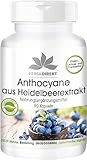 Anthocyane aus Heidelbeerextrakt 25% - 90 Kapseln - vegan | HERBADIREKT by Warnke Vitalstoffe