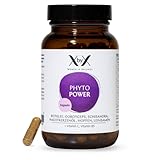 XbyX Phyto Power | 45 Kapseln | Hormonelle Unterstützung ab der Menopause | Hormonfrei | Ohne Soja...