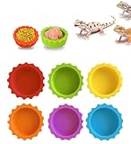 Meow&Woof Crested Gecko Futter- und Wassernapf für Reptilien, 6 Stück, bunte Wassernapf für...