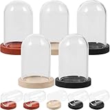 Angoily 10 Sets Mini Glasglocken mit Holzsockel Transparente Dekorative Glaskuppeln für Ewige...
