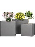 Pflanzwerk® Pflanzkübel Fiberglas Cube Grau 3er-Set 23cm + 28cm + 34cm *Frostbeständig*...