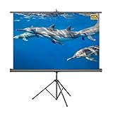XQJLBZA Tragbare 60-Zoll-4K-HD-Projektionsleinwand mit Stativ, manuell Rollo-Leinwand für den...
