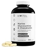 Glucosamin mit Chondroitin. 365 Kapseln für eine 4-monatige Behandlung. Mit 1500 mg Marine...