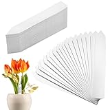 200 Stk Pflanzenschilder,Pflanzenschilder Zum...