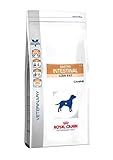 ROYAL CANIN Dog Gastro intestinal Low Fat, 1er Pack (1 x 12 kg)