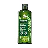 Yves Rocher Stimulierendes Shampoo gegen Haarausfall mit Agave und weißer Lupine, sprödes Haar,...