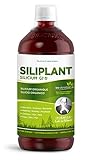 G7 Siliplant Verbesserte Formel. Silizium Flüssig auf Pflanzenbasis. Silizium Hochdosiert ideale...