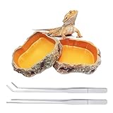 Reptile Growth Terrarium zubehör 2Pcs wasserschale trinkschale 1pcs pinzette lang 1pcs pinzette...