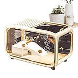 Aquarium, Fischschale, Landschafts-Aquarium mit Kletterdekor, transparentes Acryl,...