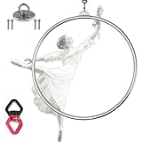 UEWQTNXS Aerial Hoop Lyra Set, 2,5 cm Rohrdurchmesser Edelstahl Single Point Aerial Hoop...