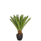 hjh OFFICE Kunstpflanze Cycas Palme Höhe 70 cm Grün 24 Palmwedel Kunstpalme klein Cycaspalme...