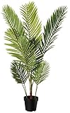 Amazon Basics Künstliche Palme mit Kunststoff-Pflanzgefäß, 70 x 70 x 119.8 cm, grün