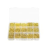 480/1280-teiliges Sortiment an vermessingten Kreuzschlitzschrauben. Befestigen Sie Glieder mit...