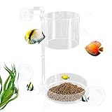 Garnelenmacher – Futtertablett für Aquarien mit schwimmendem Fluss für kleine Fischtanks,...
