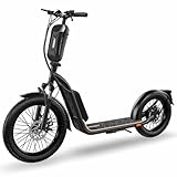 Elektro Scooter mit Straßenzulassung ABE E-Scooter Elektroroller eKFV Zulassung Faltbar Roller...