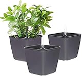 T4U 13cm Blumentopf Plastik Schwarz mit bewässerungssyste mit Anzeiger Eckig Pflanztopf dunkelgrau...